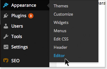 WordPress theme editor